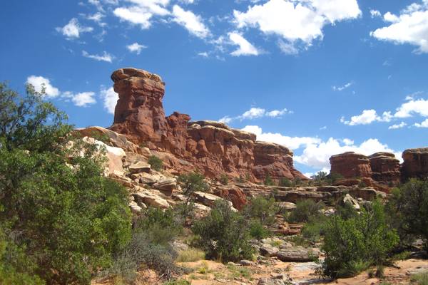Canyonlands National Park - Utah - Doets Reizen