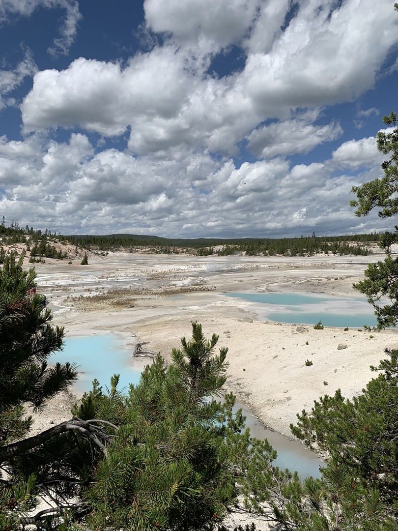 Yellowstone National Park - Wyoming - Doets Reizen