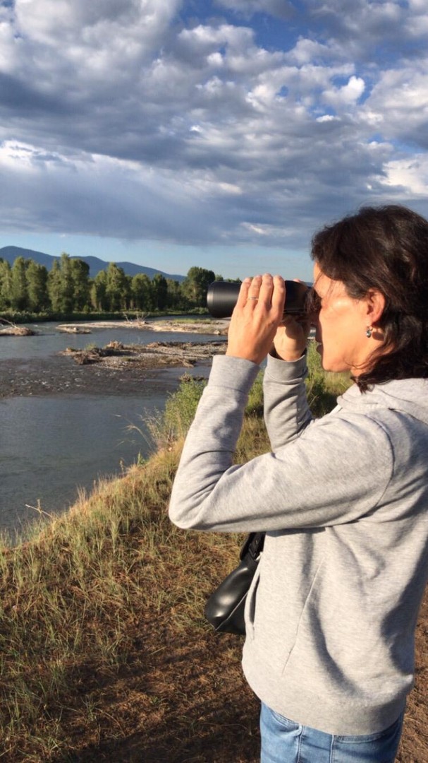 Wildlife Safari - Grand Teton National Park - Wyoming - Doets Reizen