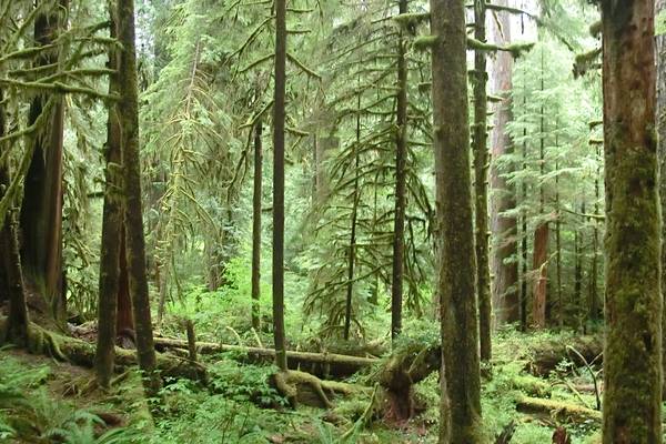 Olympic National Park - Washington State - Doets Reizen