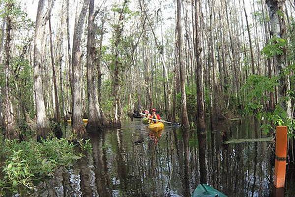 Adventure Challenge Eco Tour - Orlando - Florida - Doets Reizen