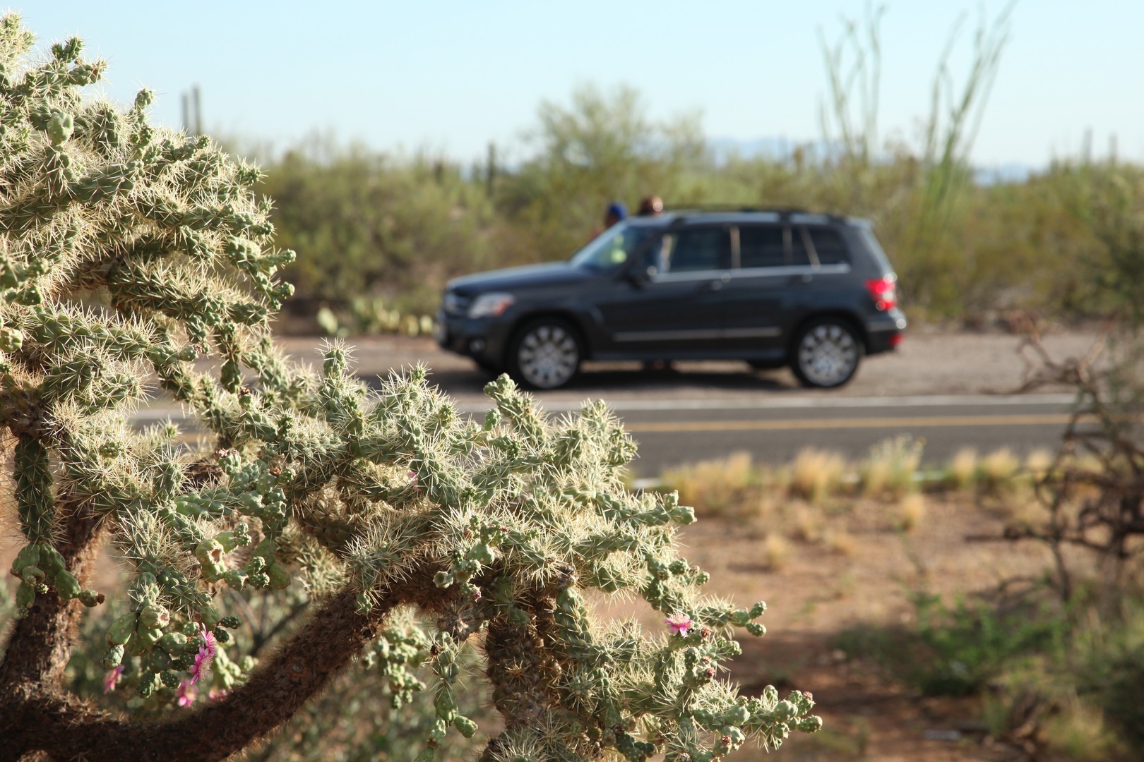 Tucson - Arizona - Doets Reizen