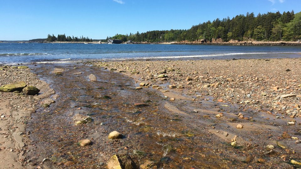 Acadia National Park - Maine - Amerika - Doets Reizen