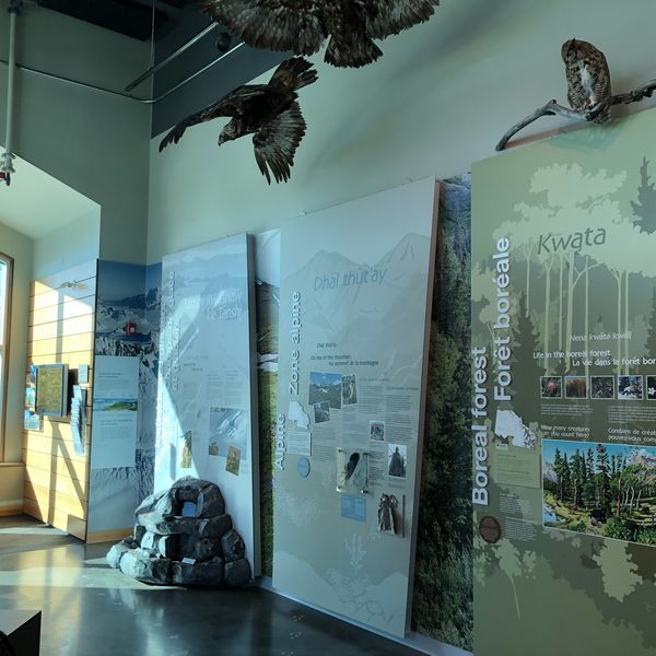 Da Ku Cultural Centre - Haines Junction - Yukon - Canada - Doets Reizen