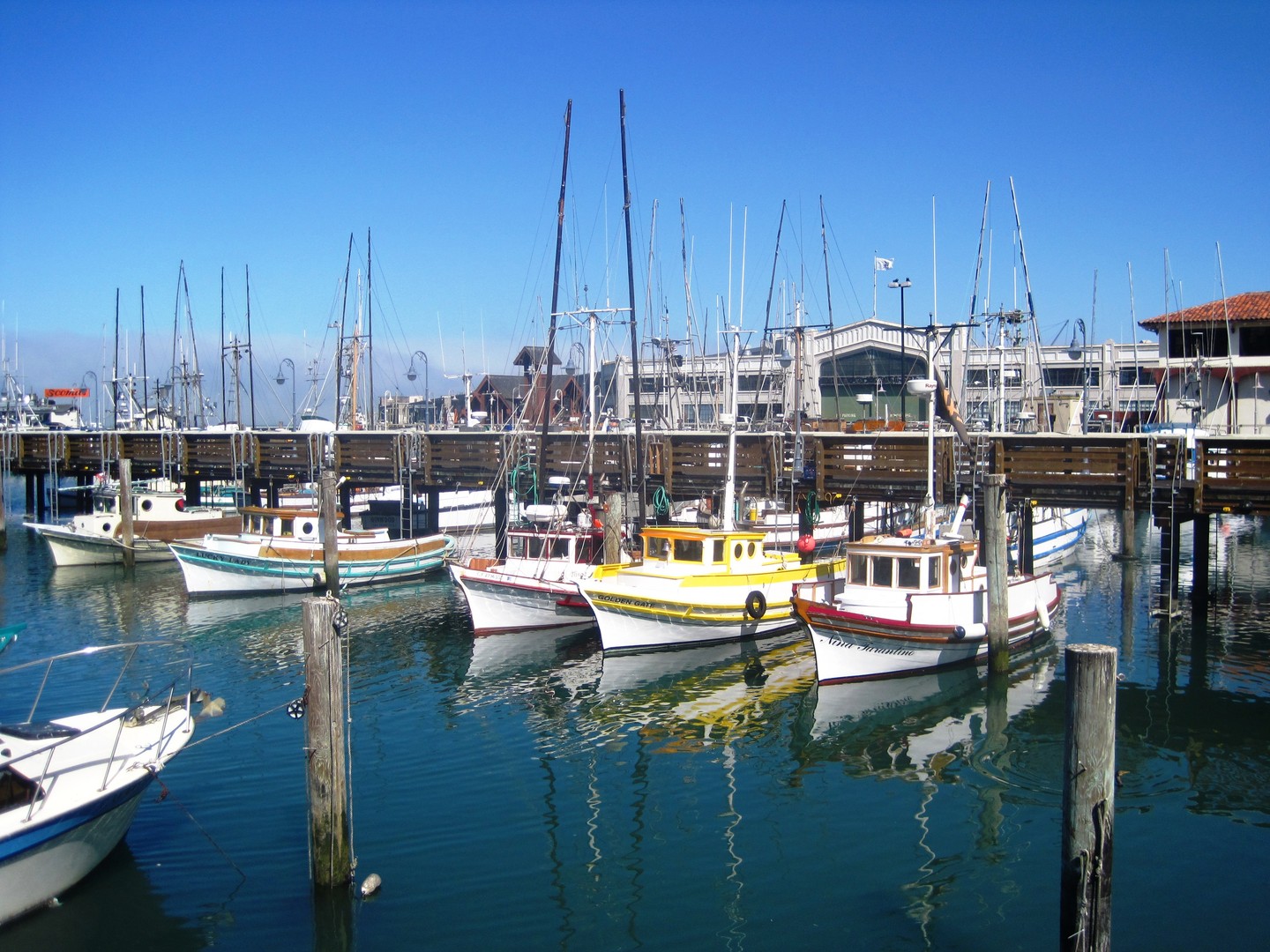 Pier 39 - San Francisco - California - Amerika - Doets Reizen
