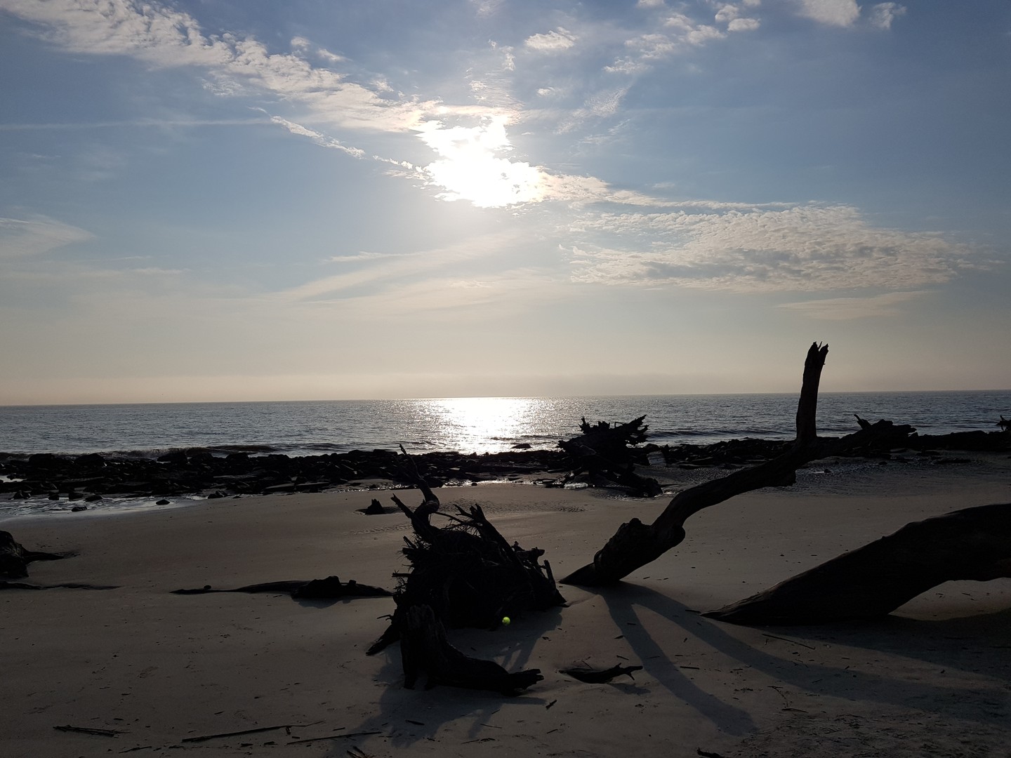 Driftwood Beach - Jekyll Island - Georgia - Amerika - Doets Reizen