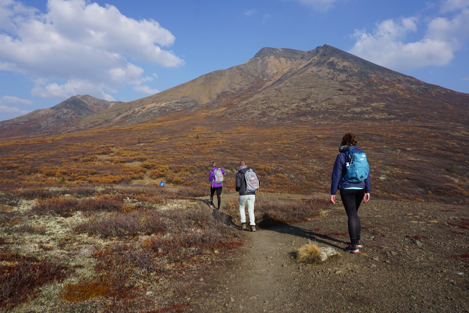 Goldensdies Hike - Tombstone Territorial Park - Yukon - Canada - Doets Reizen