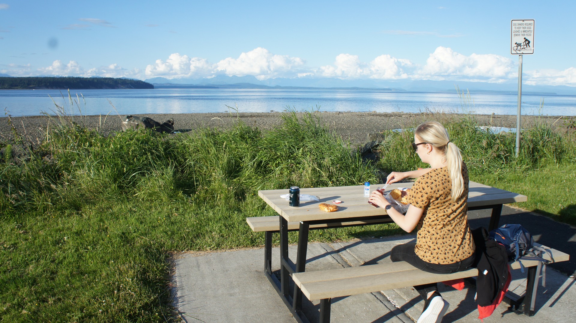 Highway 19A Campbell River - Vancouver Island - British Columbia - Canada - Doets Reizen