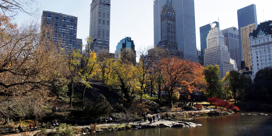 Central Park in New York