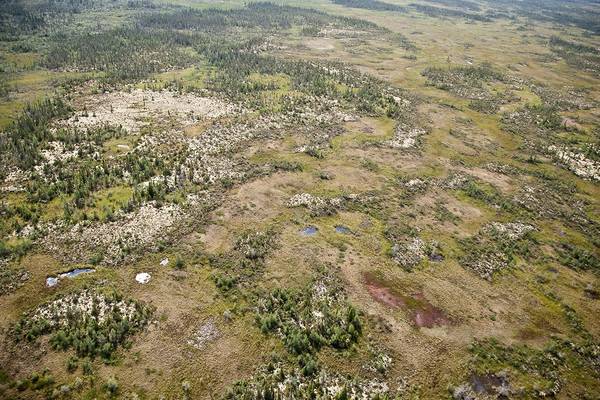 Churchill - Manitoba - Canada - Doets Reizen